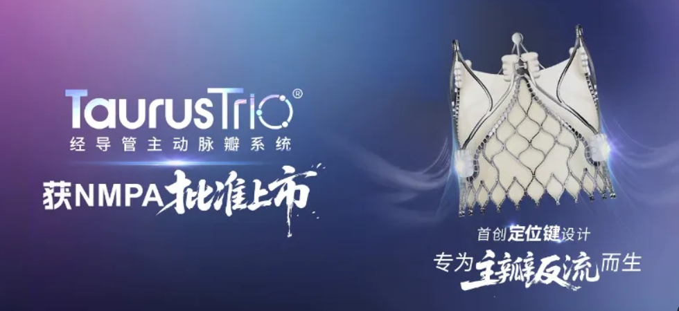 TaurusTrio经导管主动脉瓣系统获NMPA批准上市，重磅核心产品为瓣膜业务增长再添强劲引擎